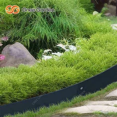 پھولوں کے بستر کی باڑ